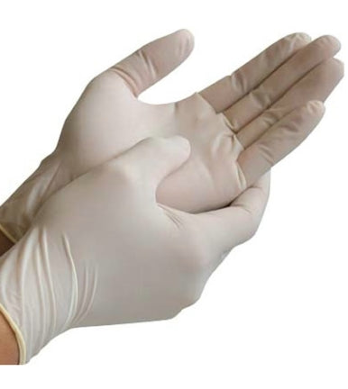 Glove, XL Latex Glove Powder Free