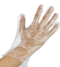 Glove, Poly Glove Large 500/PK