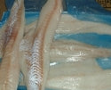 Food, Commodity Frozen Shatter Pack Alaskan Cod Fillets 16-32Oz