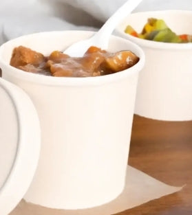 Paper Container, 6oz Hot/Cold Food Container Double Poly